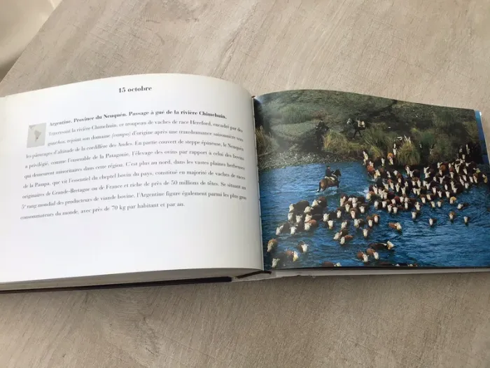 Lire 365 jours pour la terre - photo numéro 3