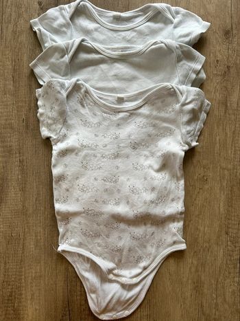 Lot 3 bodies manches courtes 12 mois