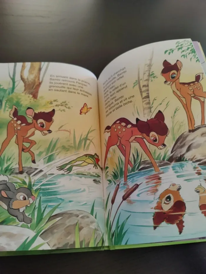 Livre Bambi - photo numéro 6