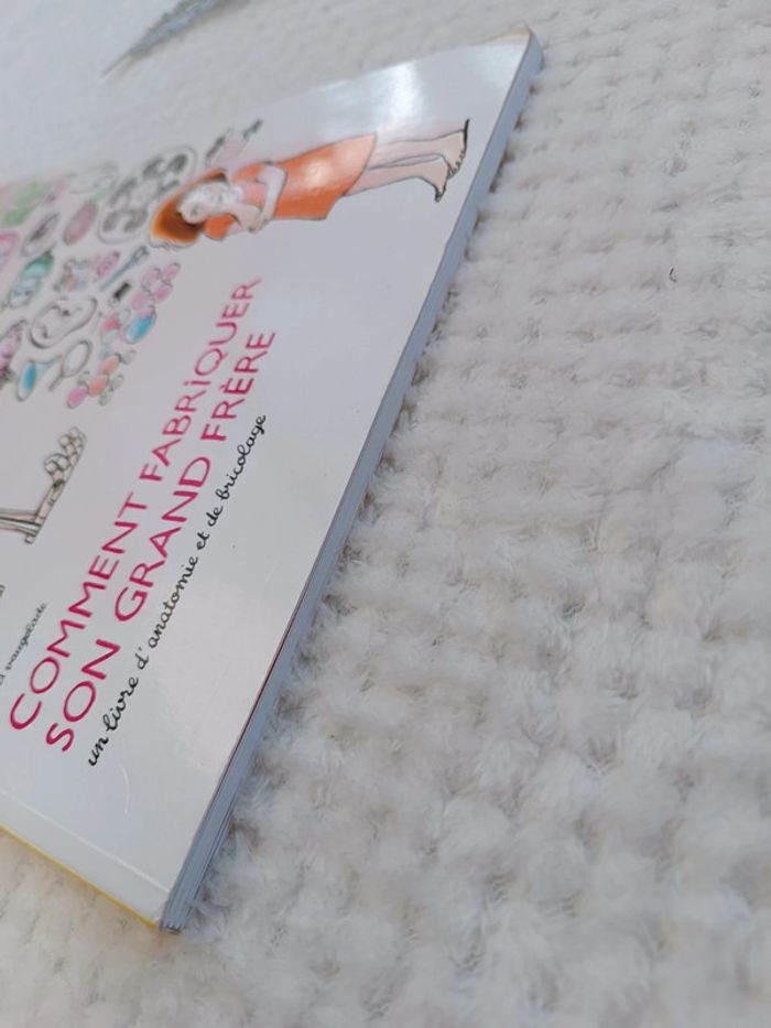 🔸Livre "Comment fabriquer son grand frère" Anaïs Vaugelade🔸 - photo numéro 9