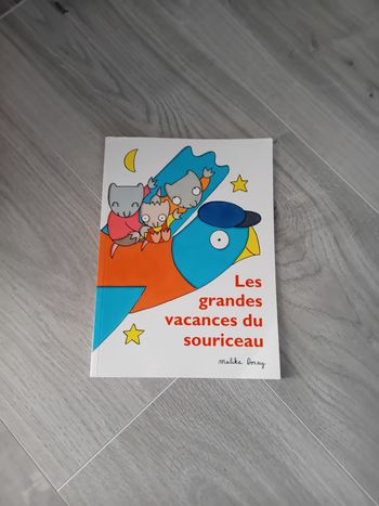 Livre Les grandes vacances du souriceau