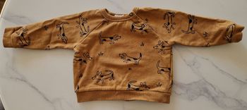 Pull marron Bout'Chou 12 mois