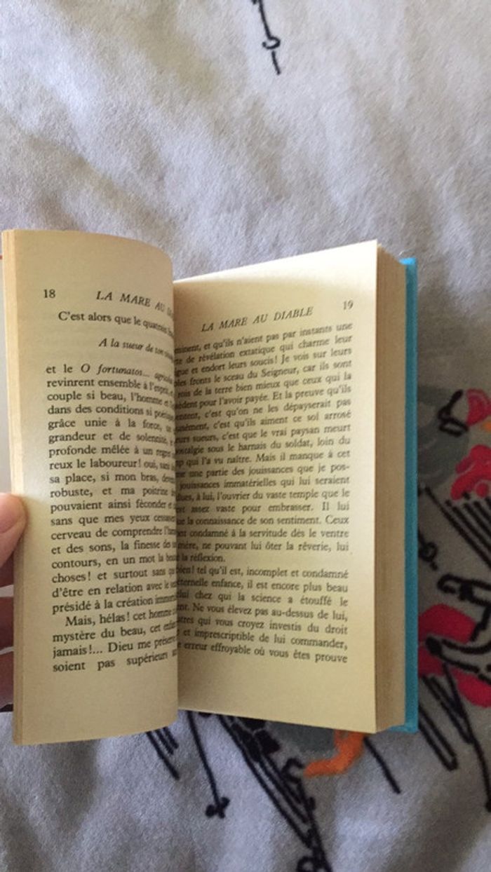 La mare au diable Georges Sand Dargaud Jeunesse - photo numéro 12