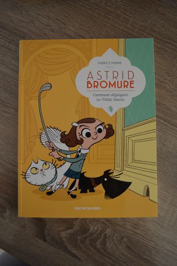 Livre ecole des loisirs Astrid Bromure Comment dézinguer la petite souris