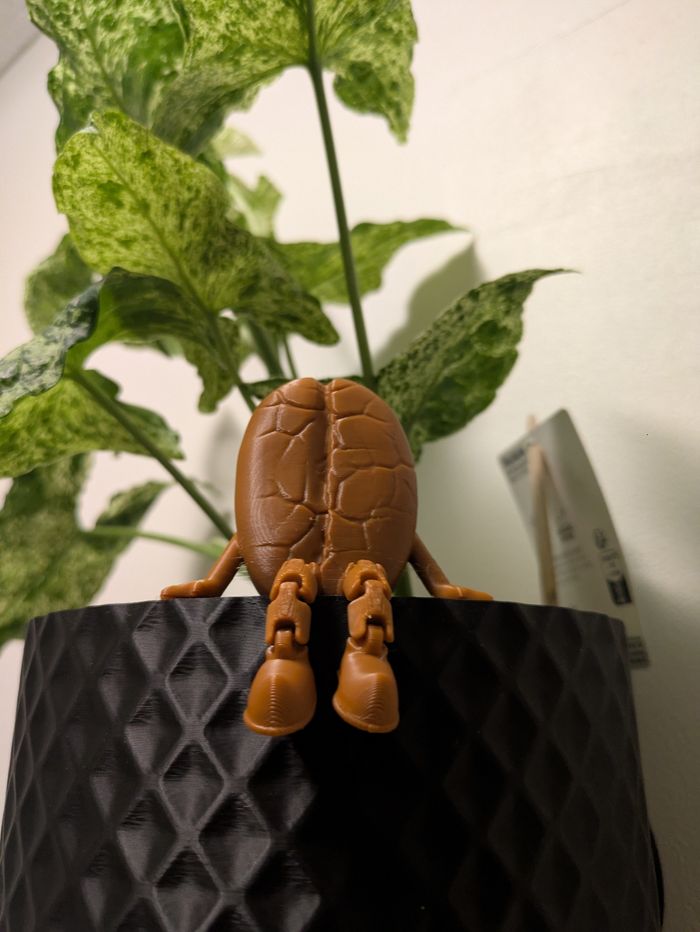 Décoration grain de café