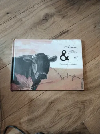 Livre : Ambre Félix et toi.