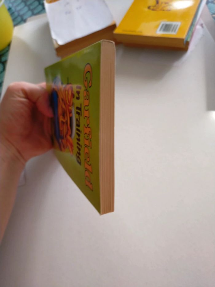 Garfield in training - photo numéro 5