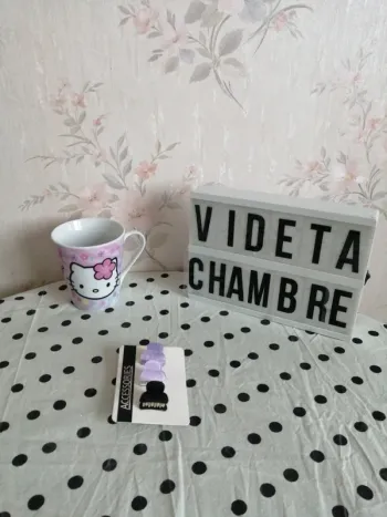 Lot de 3 petites pinces violettes et noires / accessoires