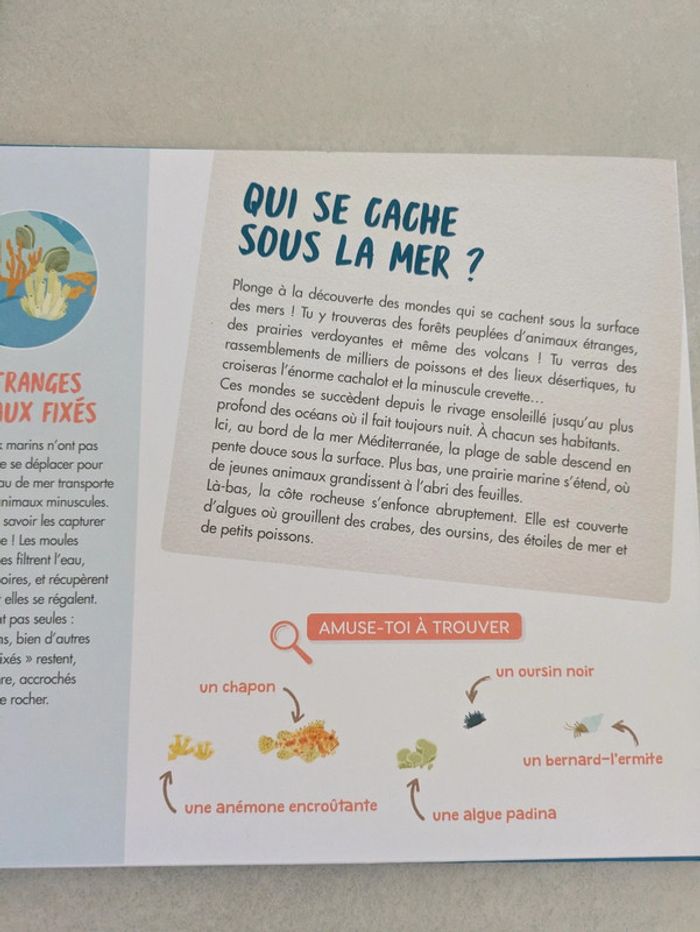 Livre panoramique La Mer - photo numéro 4