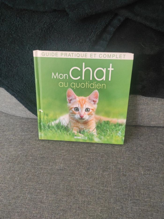 Mon chat au quotidien
