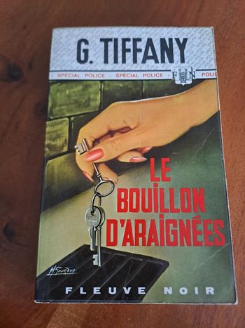 Livre Le Bouillon d'araignées, Georges Tiffany