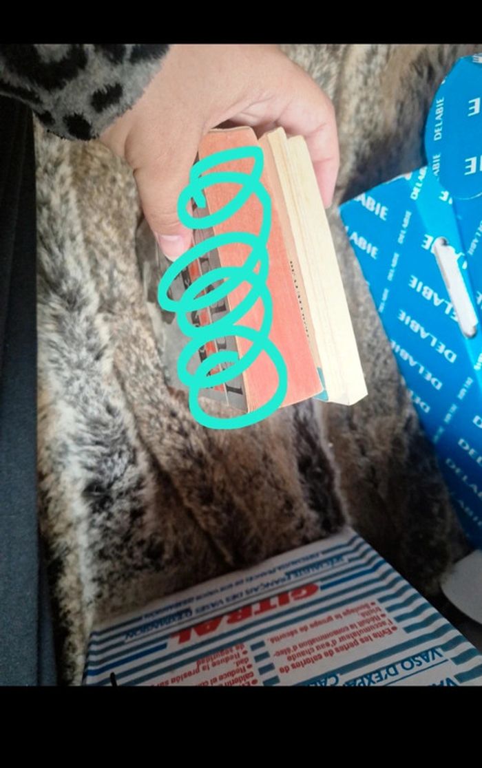 Lot de 2 grand classiques litterature - photo numéro 6