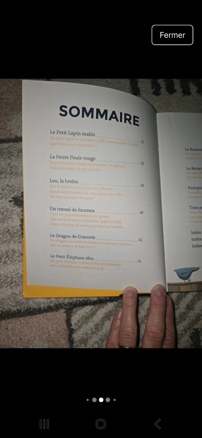 Lot 3 livres père castor - photo numéro 8