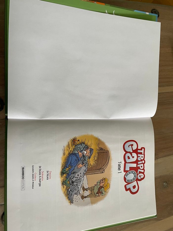 Triple galop - photo numéro 3