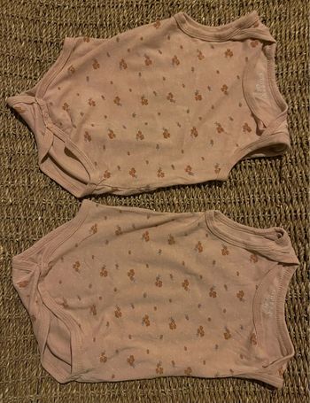 Bodys Zeeman twins