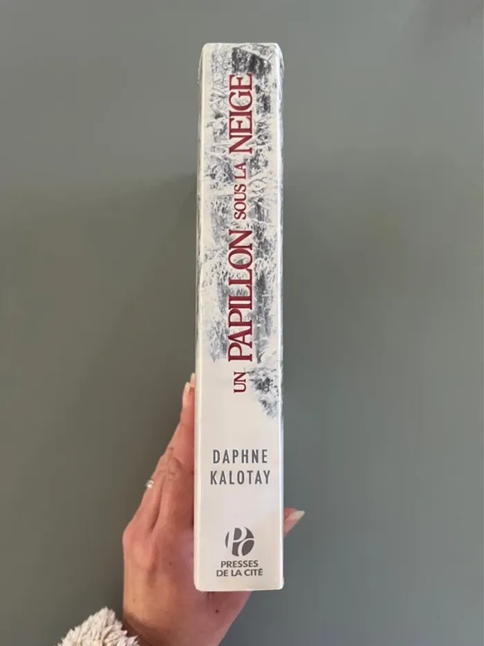 Livre type Roman un papillon sous la neige par Daphne Kalotay - photo numéro 3