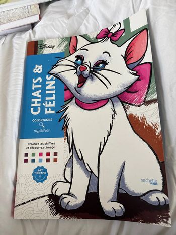 Cahiers de coloriage mystère – Chats et Félins de Disney
