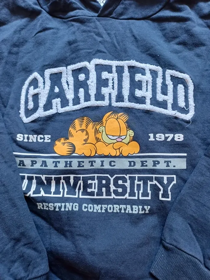 Sweat à capuche garfield - photo numéro 2