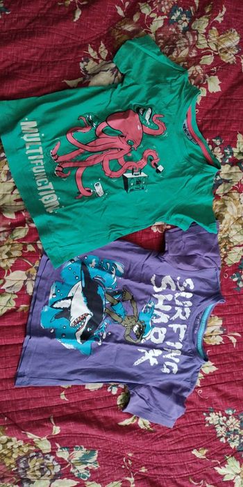 Lot 2 tee shirts 3 ans