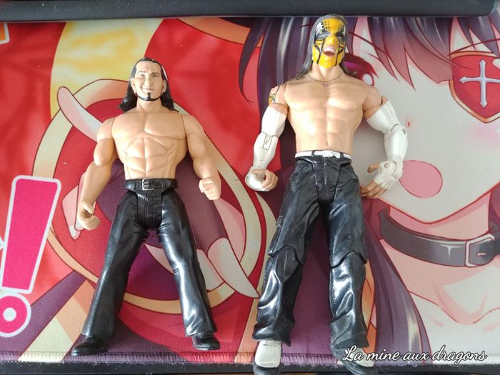 Figurine Jakks Matt Jeff Hardy Wrestling action Figure catch wwe  Hardy Boyz