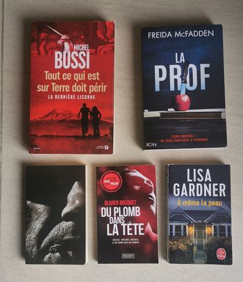 6 Thrillers - La prof de Freida McFadden - Michel Bussi - Lisa Gardner