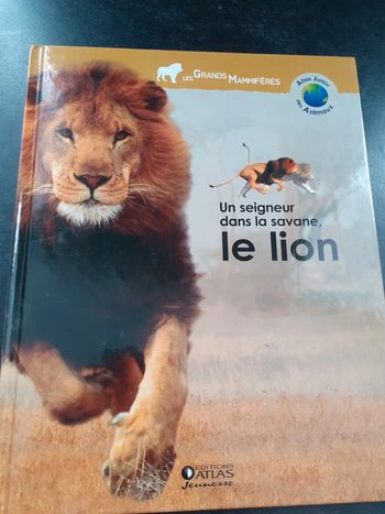 Livre : Un seigneur dans la savane le Lion