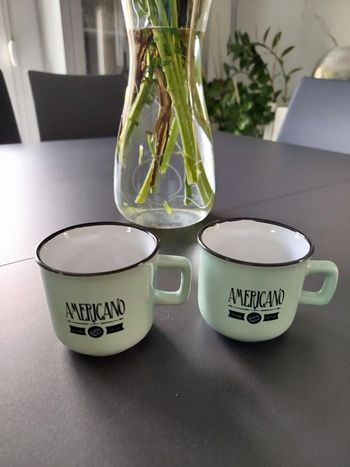 Lot 2 tasses vintage vert clair