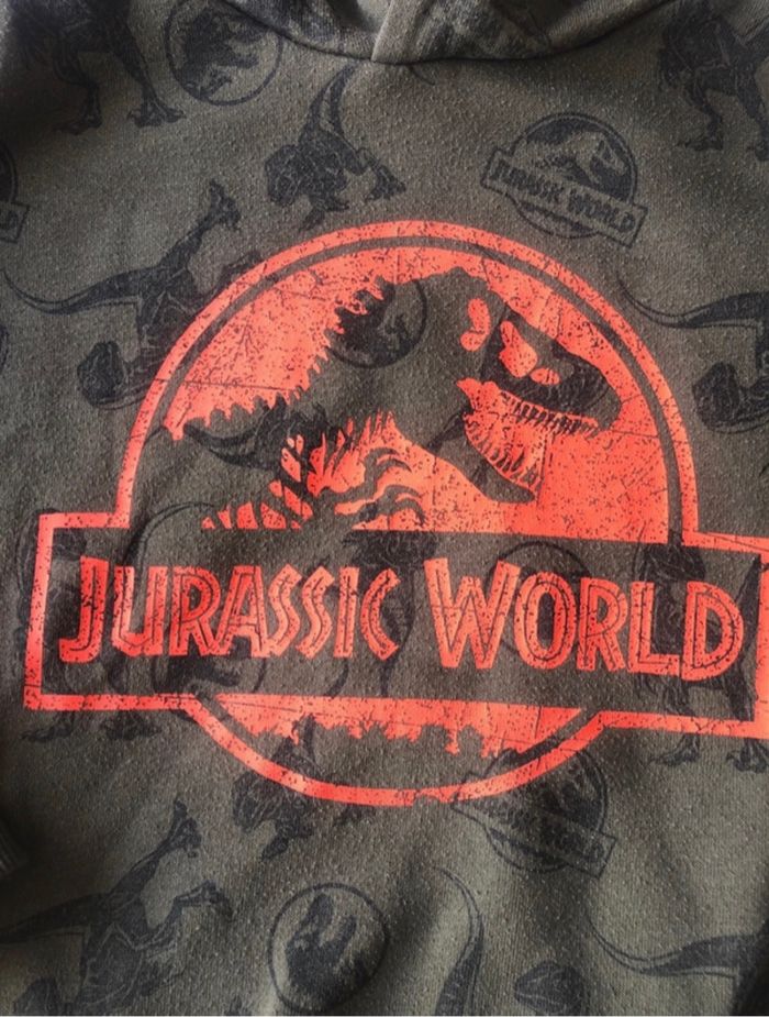 Pull à capuche jurassic Park 116 cm - photo numéro 2