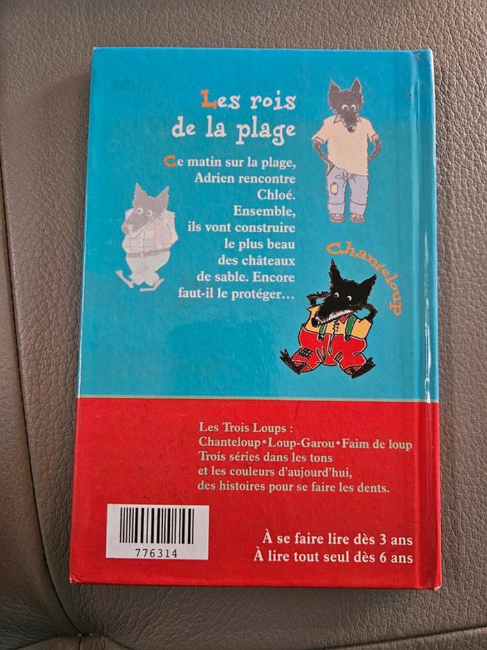 Livre : les rois de la plage - photo numéro 2