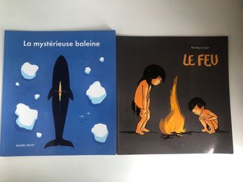 Lot de 2 livres La mystérieuse baleine et Le feu