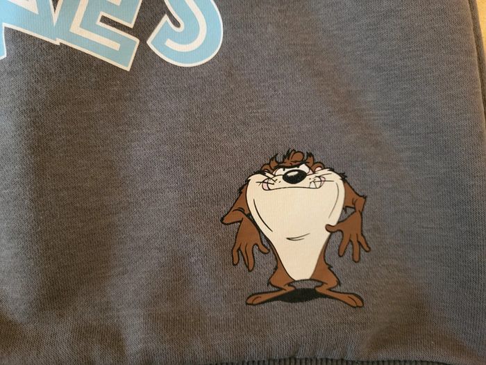 Très joli sweat à capuches Looney Tunes 3/4ans Excellent état - photo numéro 7