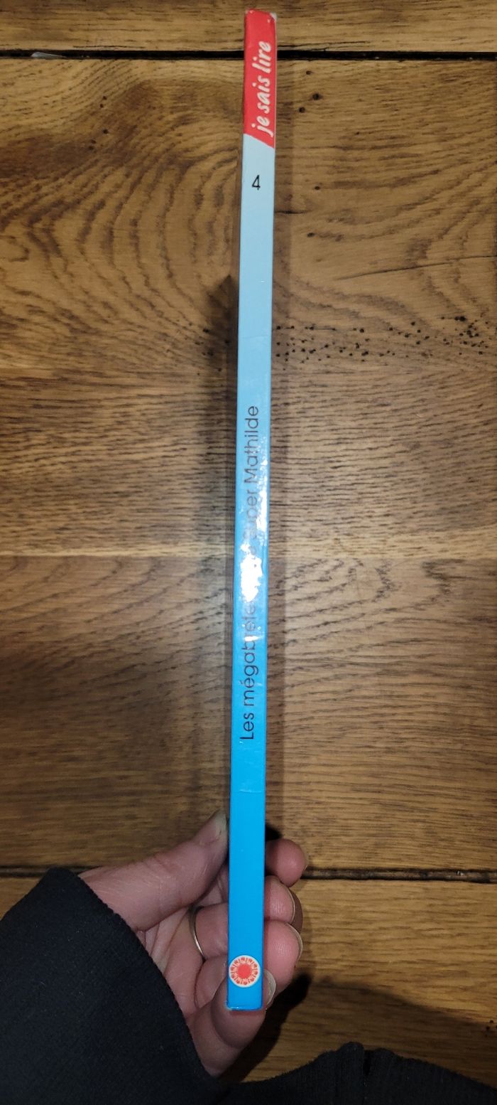 Les mégabretelles de Super Mathilde - photo numéro 2