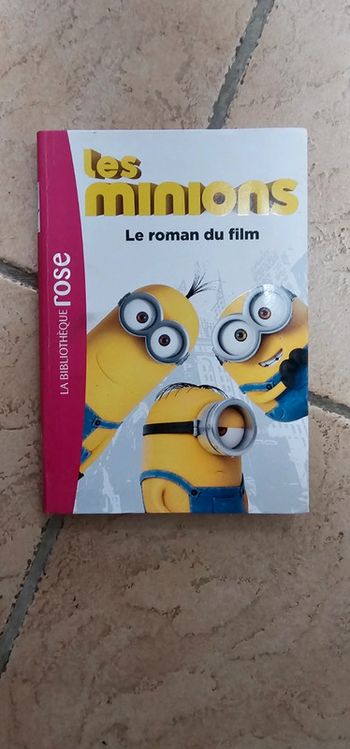 Livre les minions le roman du film