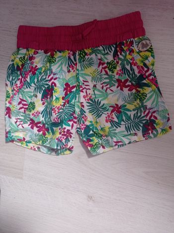 Short  sergent major