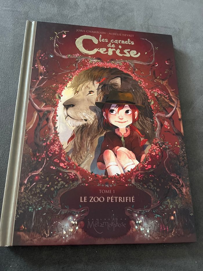 Bd les carnets de cerise tome 1 - photo numéro 1