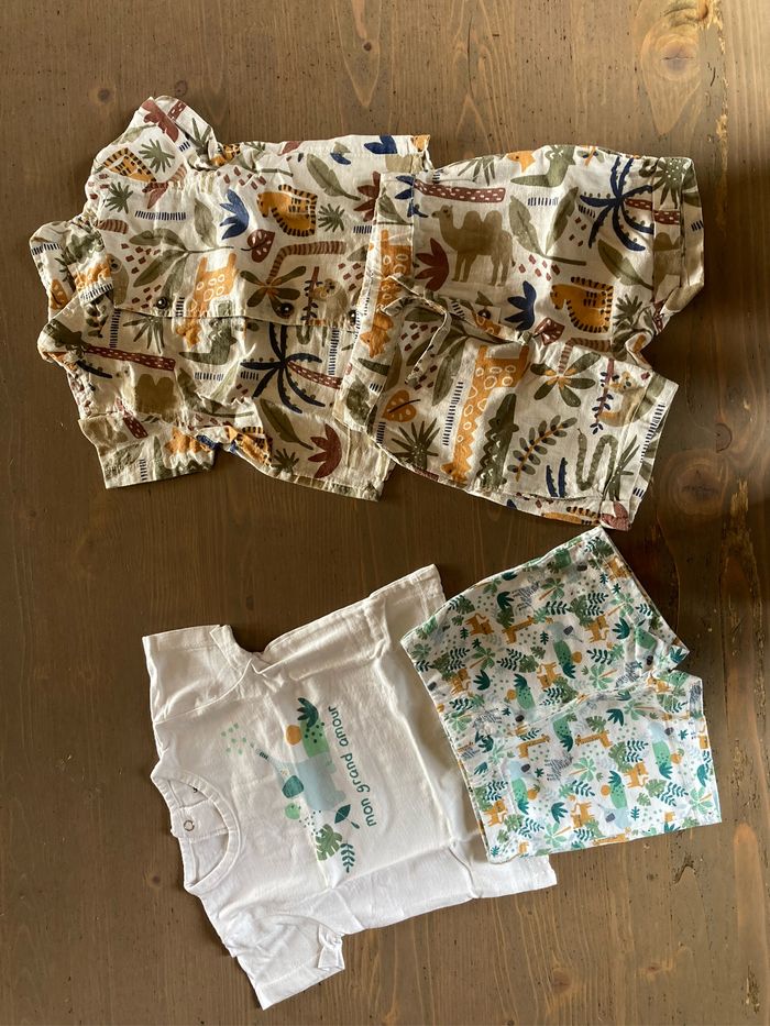 Bébé garçon : lot vêtements bébé 9 mois - photo numéro 4