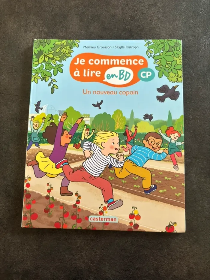 Livre BD CP