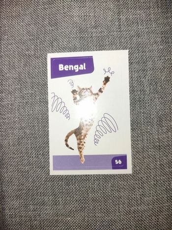 Autocollant nos amies les bêtes