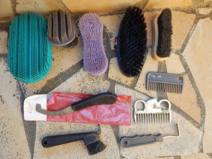 bac à brosse + brosses - photo numéro 6