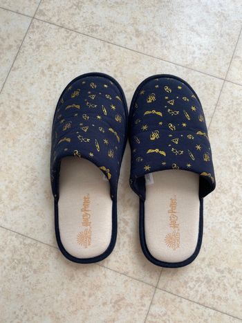 Paire de chaussons Harry Potter 41