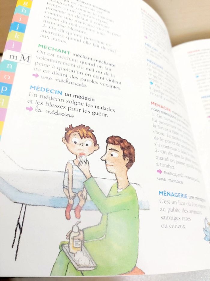 🌺 Livre : Mon premier dictionnaire Gallimard Jeunesse 4/7 ans - photo numéro 5