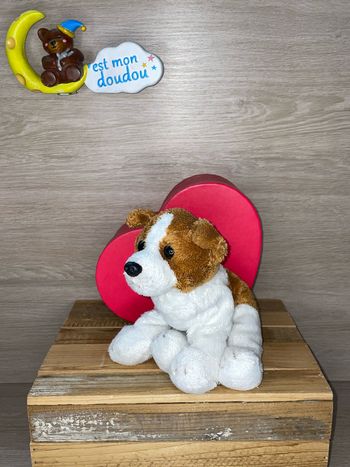 GP100 doudou chien 🐶 Gipsy