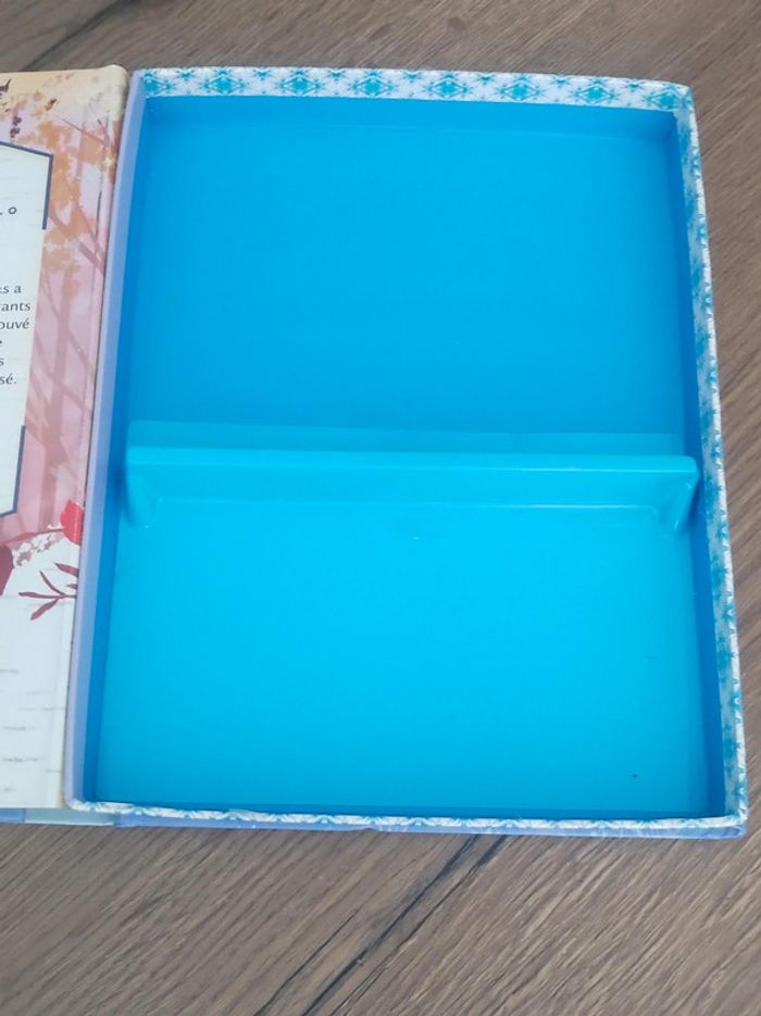 Livre Reine des Neiges 2 Disney - photo numéro 3