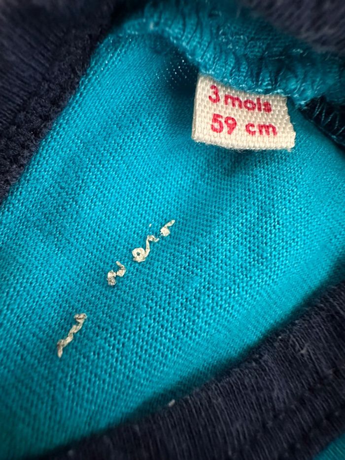 Pyj piranha - photo numéro 4