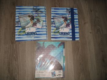 LOT DE 3 ARTICLES SCOLAIRES : CLASSEUR + POCHETTE + INTERCALAIRES "SURF LEGEND" - NEUF - n°19