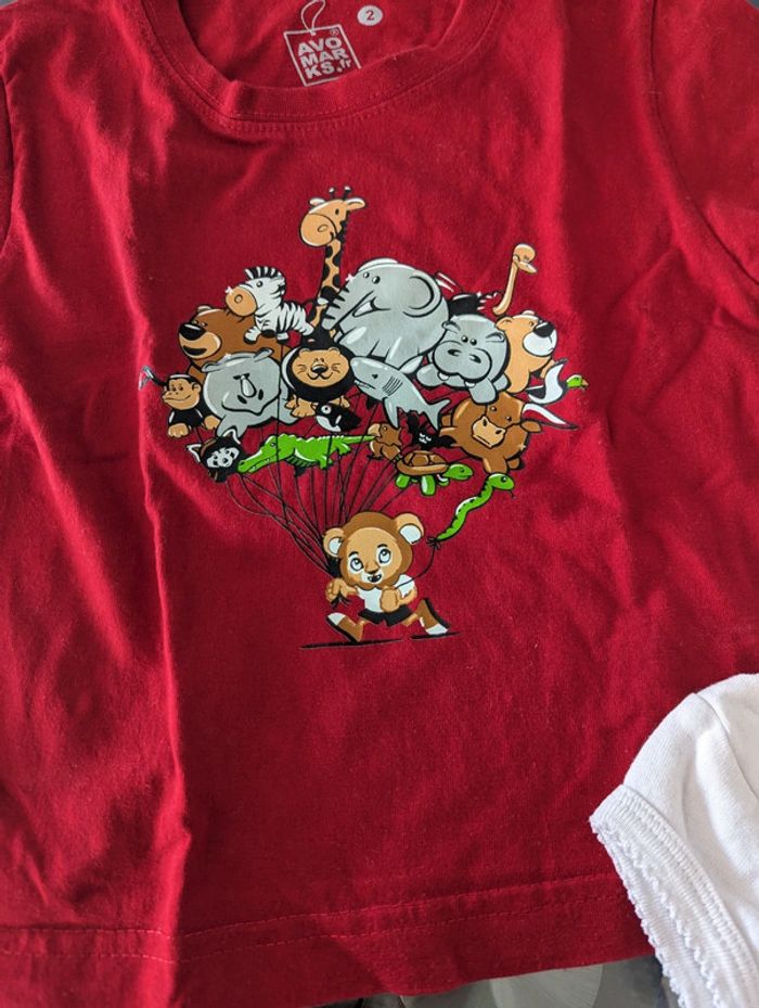 Lot t-shirt 2 ans - photo numéro 3