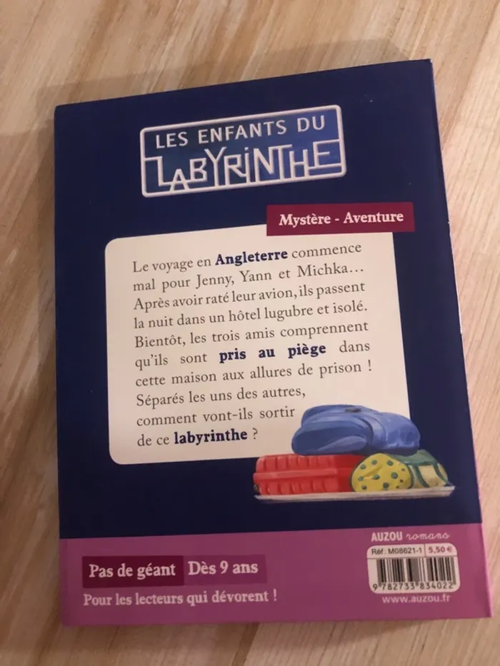 les enfants du labyrinthe - photo numéro 3