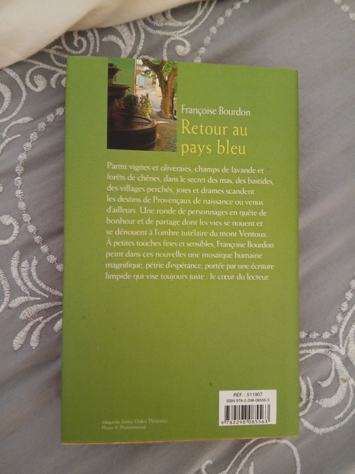 Livre (11) 📚 Retour au pays bleu - photo numéro 2