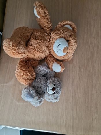 Lot de 2 ours 🐻