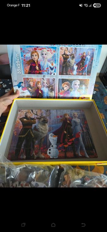 Puzzle reine des neiges